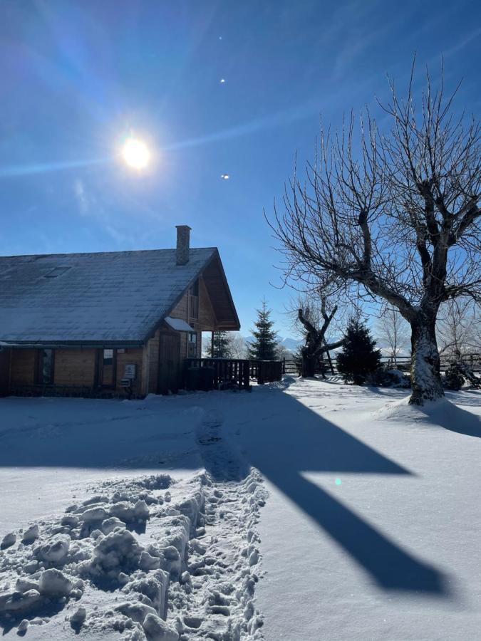 Chalet Ro Peştera エクステリア 写真