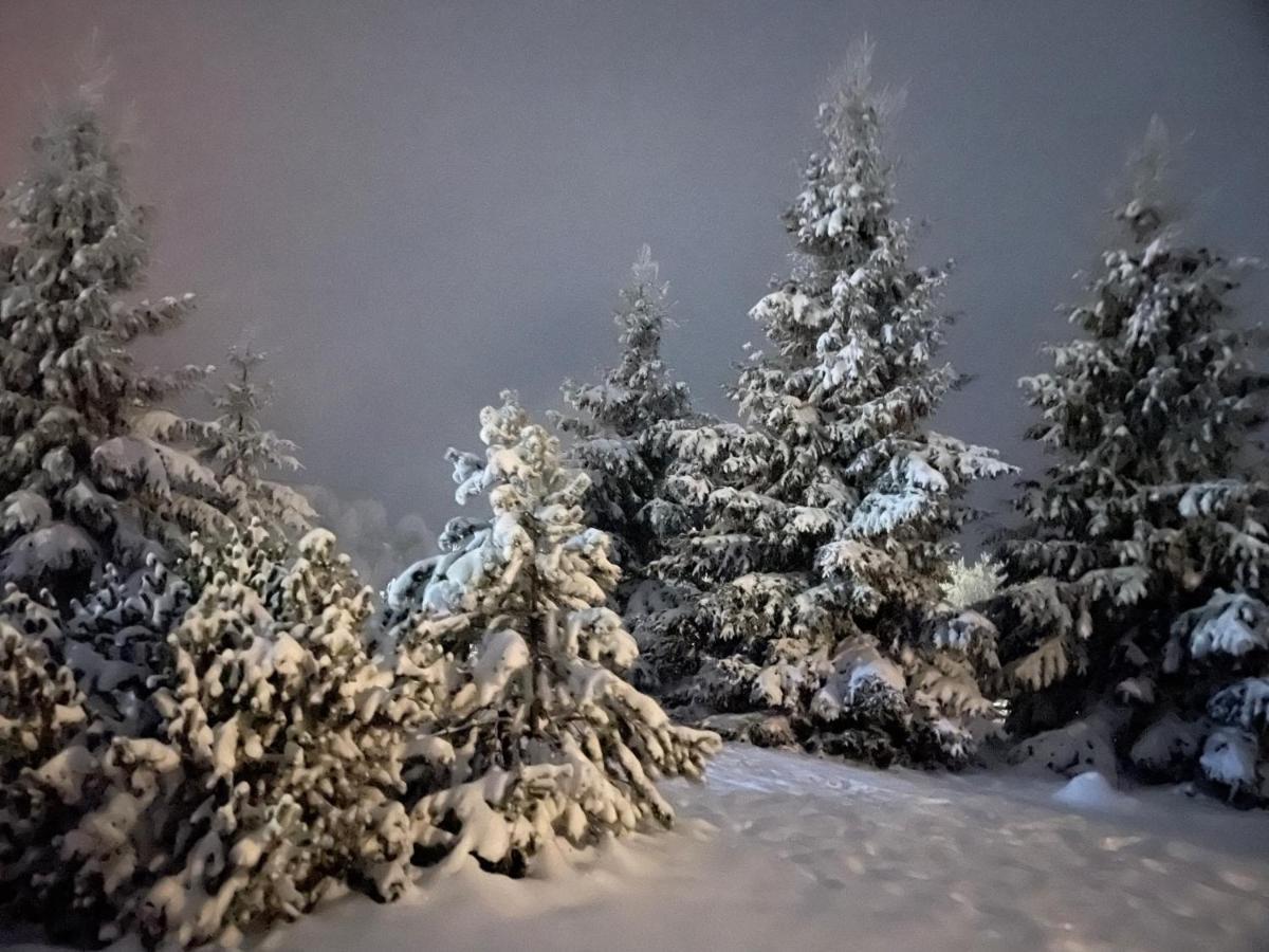 Chalet Ro Peştera エクステリア 写真