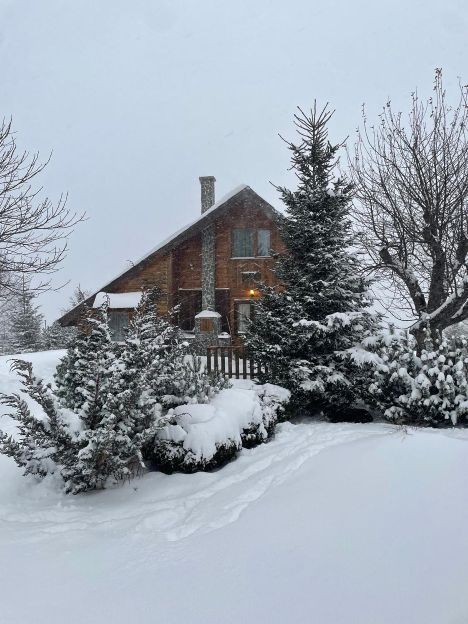 Chalet Ro Peştera エクステリア 写真