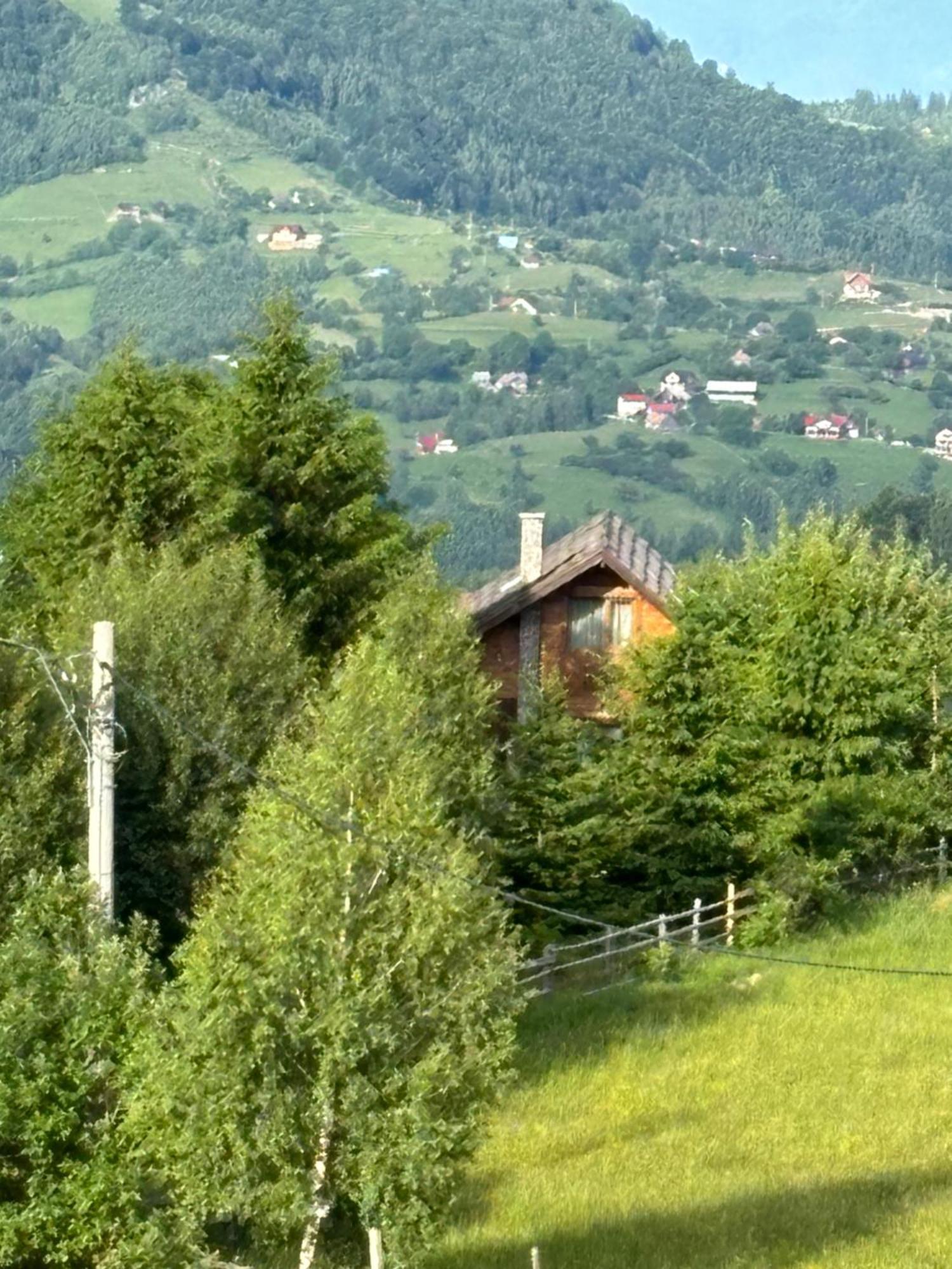 Chalet Ro Peştera エクステリア 写真