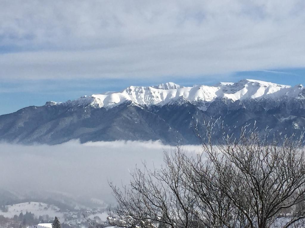 Chalet Ro Peştera エクステリア 写真