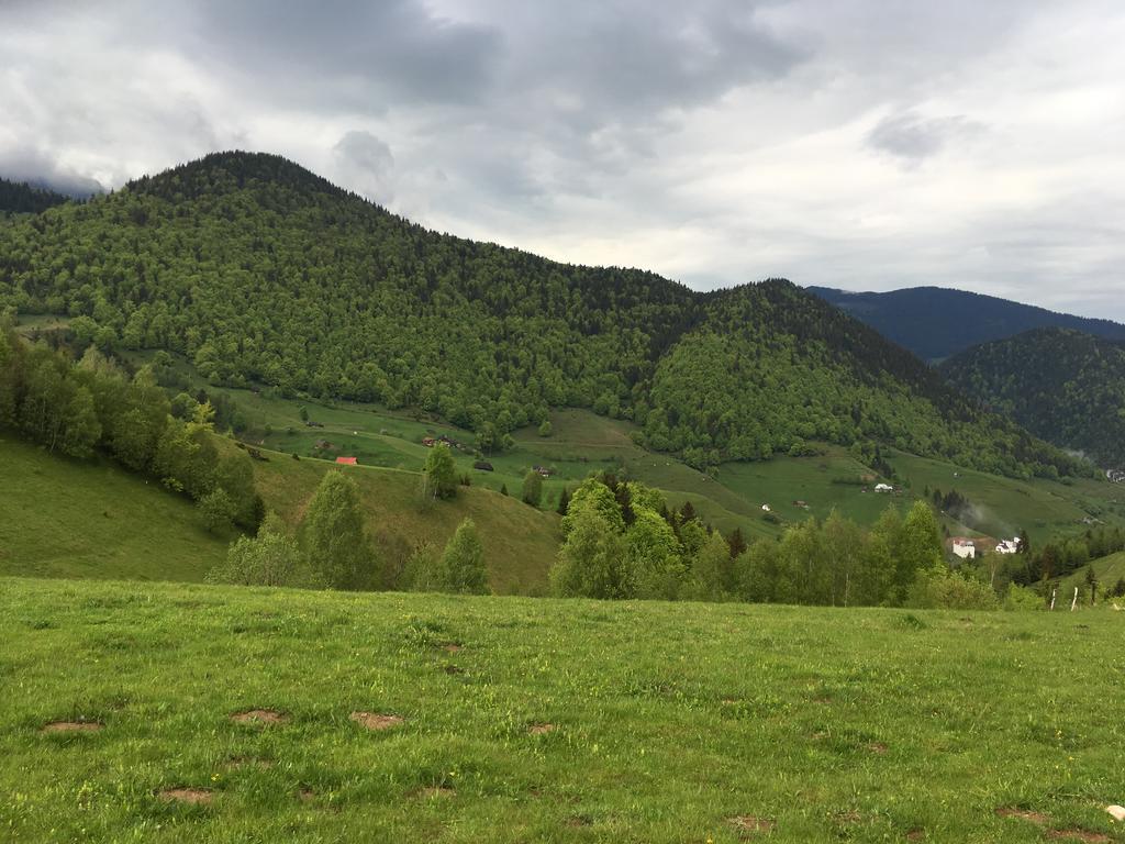Chalet Ro Peştera エクステリア 写真